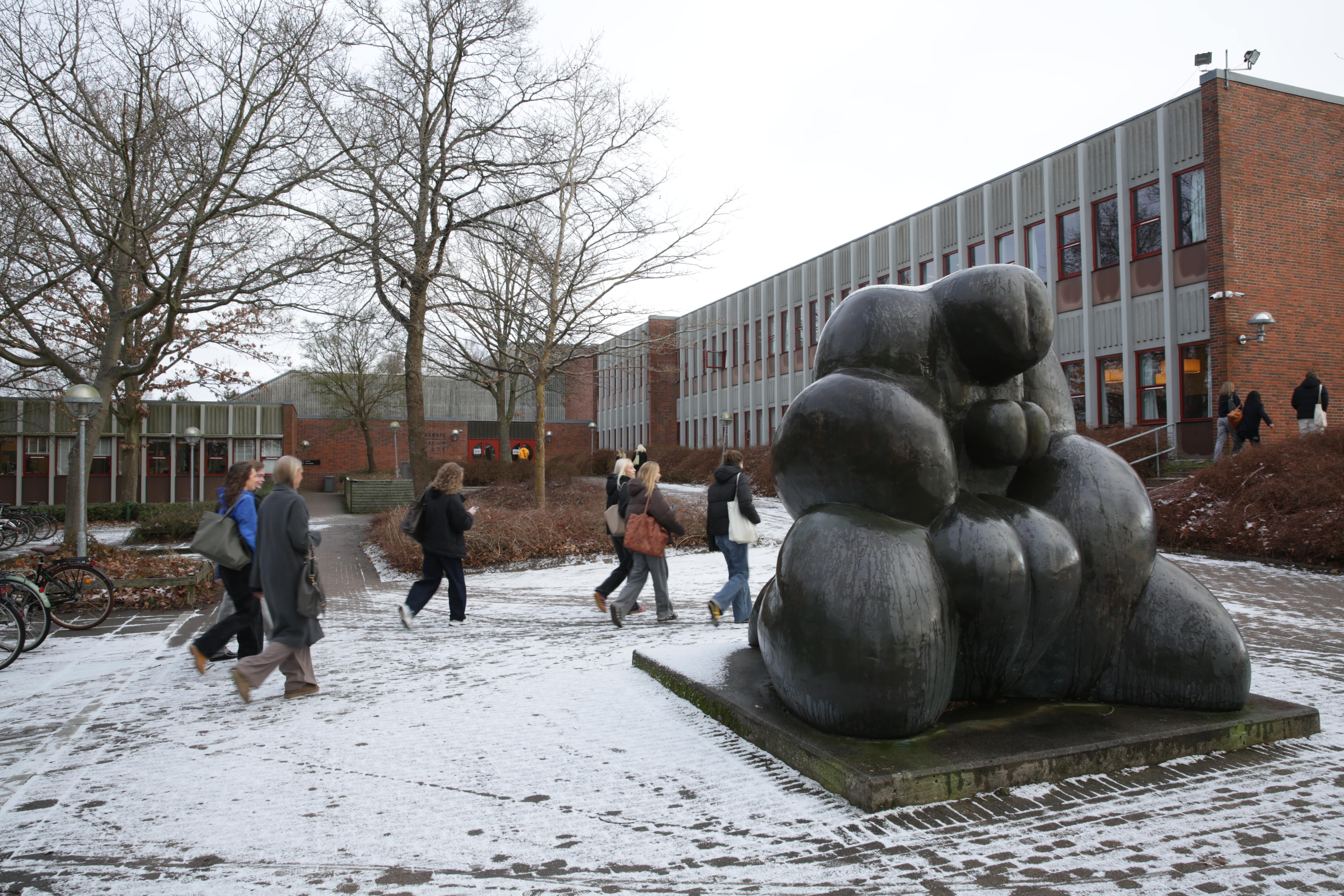 Skolen